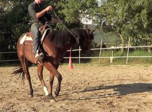 Natural Horsemanship: release the rein as soon as the horse crosses the front legs