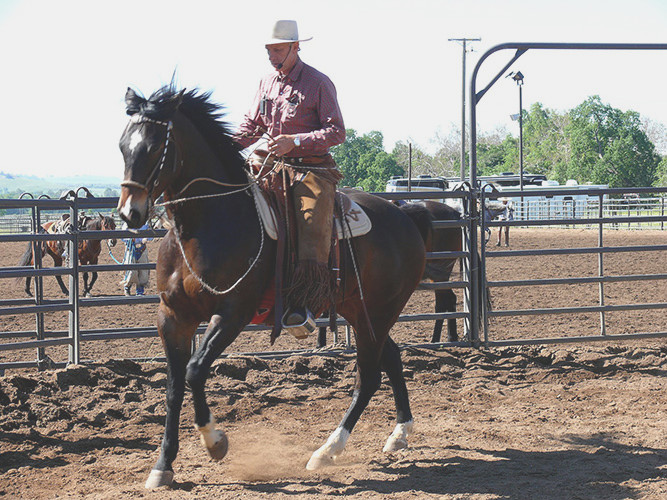 Buck Brannaman 7 Clinics: Buck on riding horses