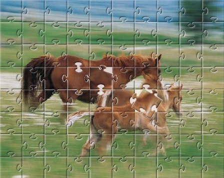 La personalidad de los caballos es como un puzzle