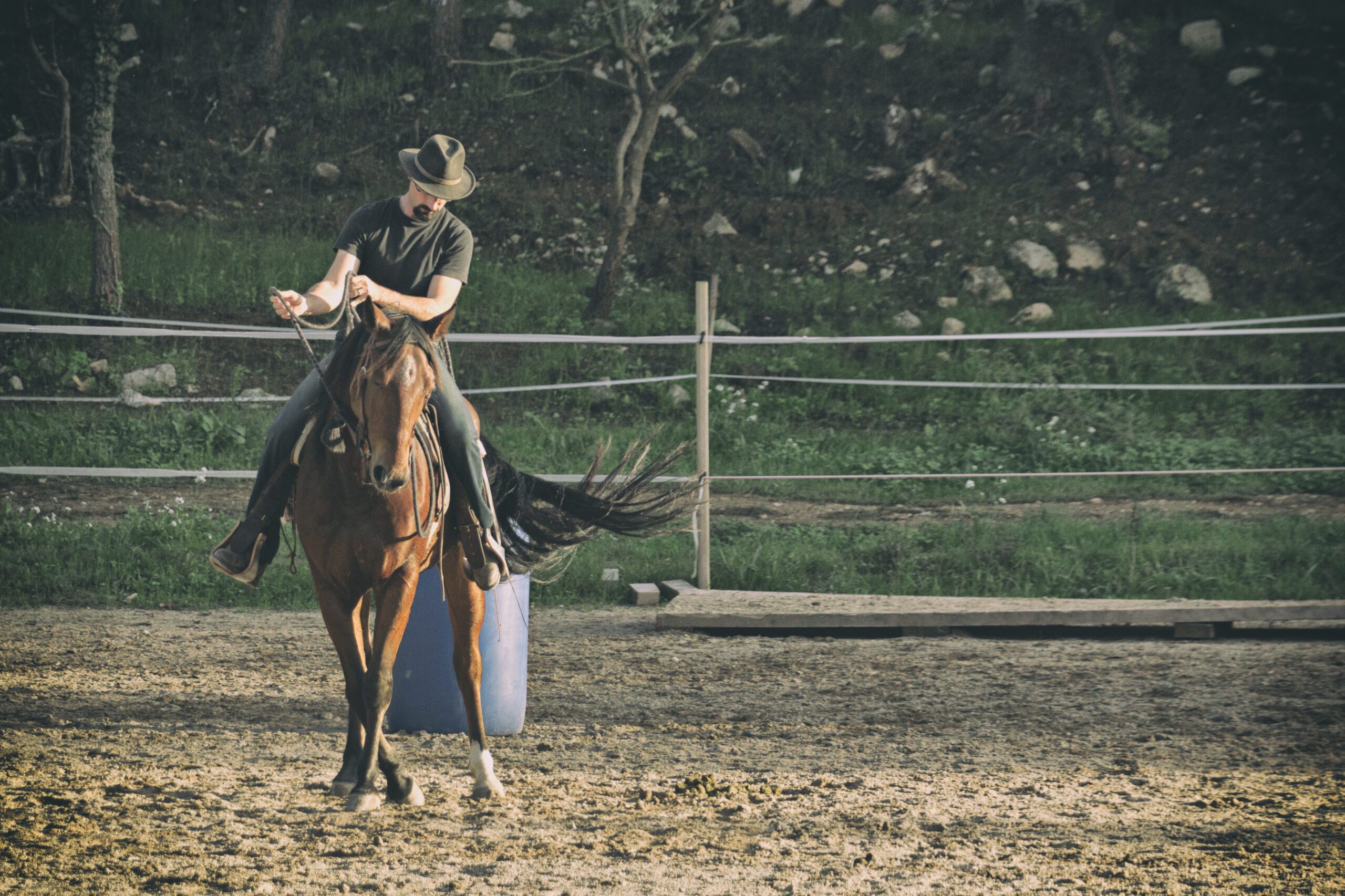 Eight Good Horsemanship Principles Natural Horsemanship