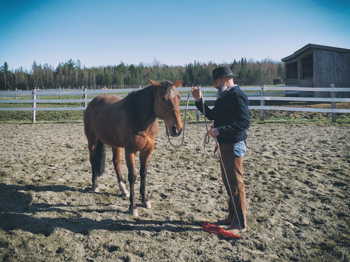 exercises-groundwork-backing_up