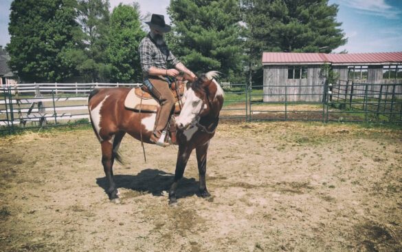 use your horse to think