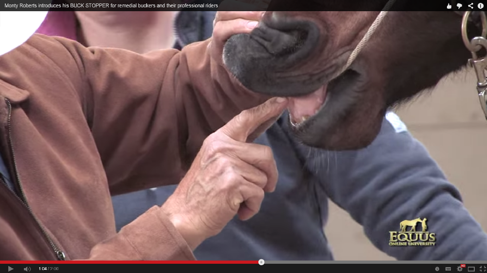 Horseman Monty Roberts uses pain in his Equus academy