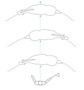 Exercises - Groundwork - follow an imaginary straight line to perform the half circle exercise