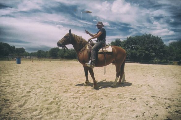 Retraining a disrespectful horse