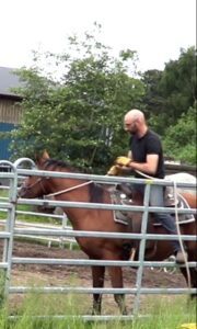 Colt starting: mount problem horses from the fence