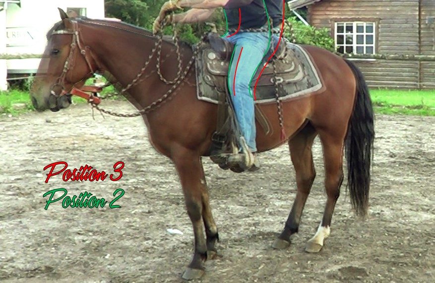 Equitation naturelle : positions en selle afin d'avancer et d'arrêter votre cheval