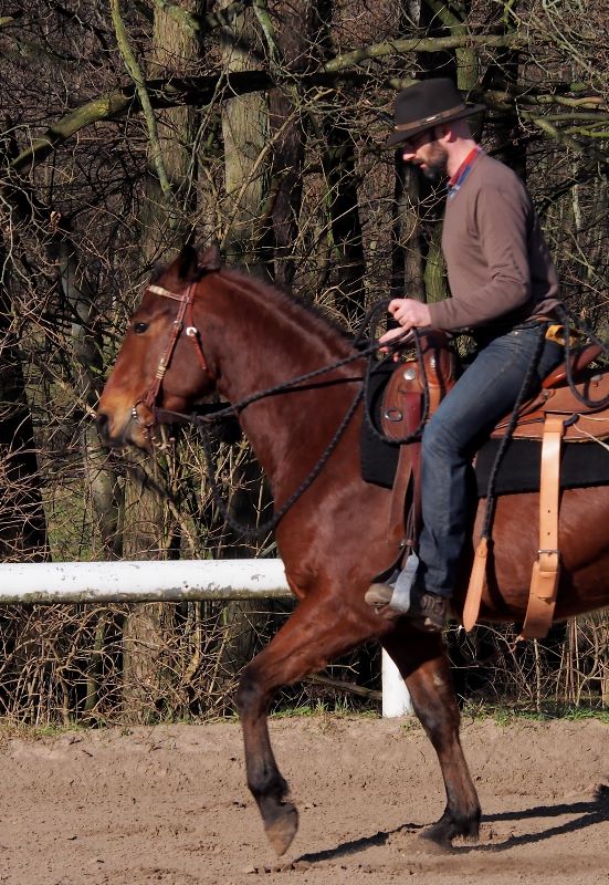 Equitation naturelle : passez en position 1 pour demander le galop