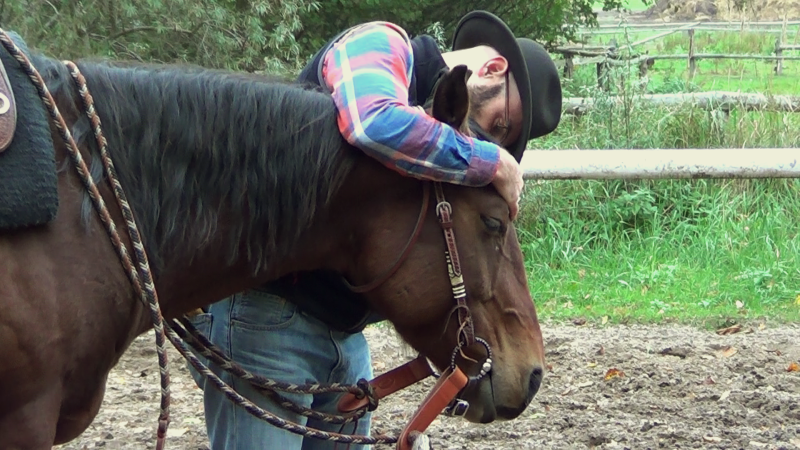 Resolve to love your horse