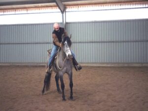 Débourrer 7 chevaux d'un coup d'un seul