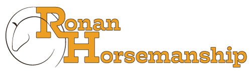 Natural Horsemanship