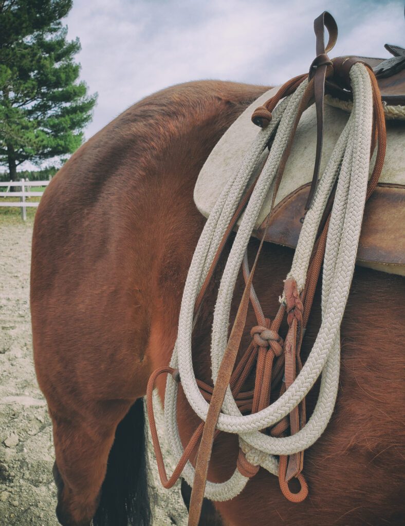Equipment | Natural Horsemanship