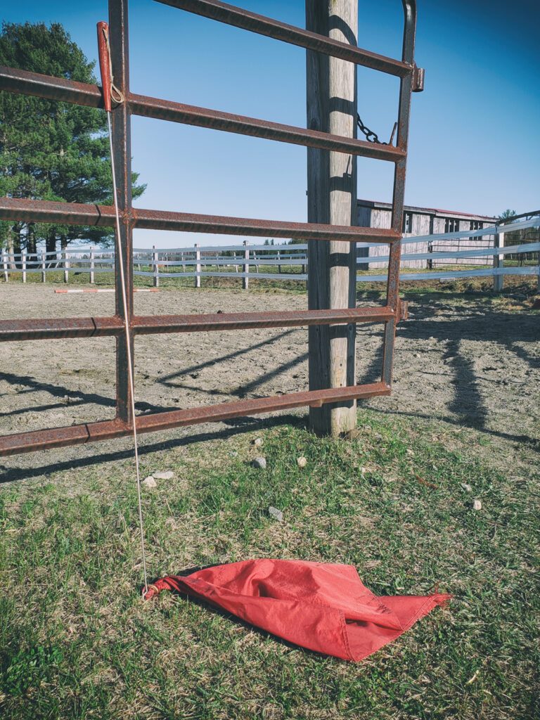 Equipment | Natural Horsemanship