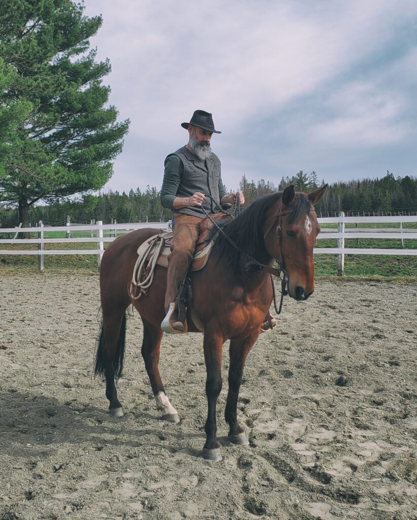 Travail en selle | Natural Horsemanship