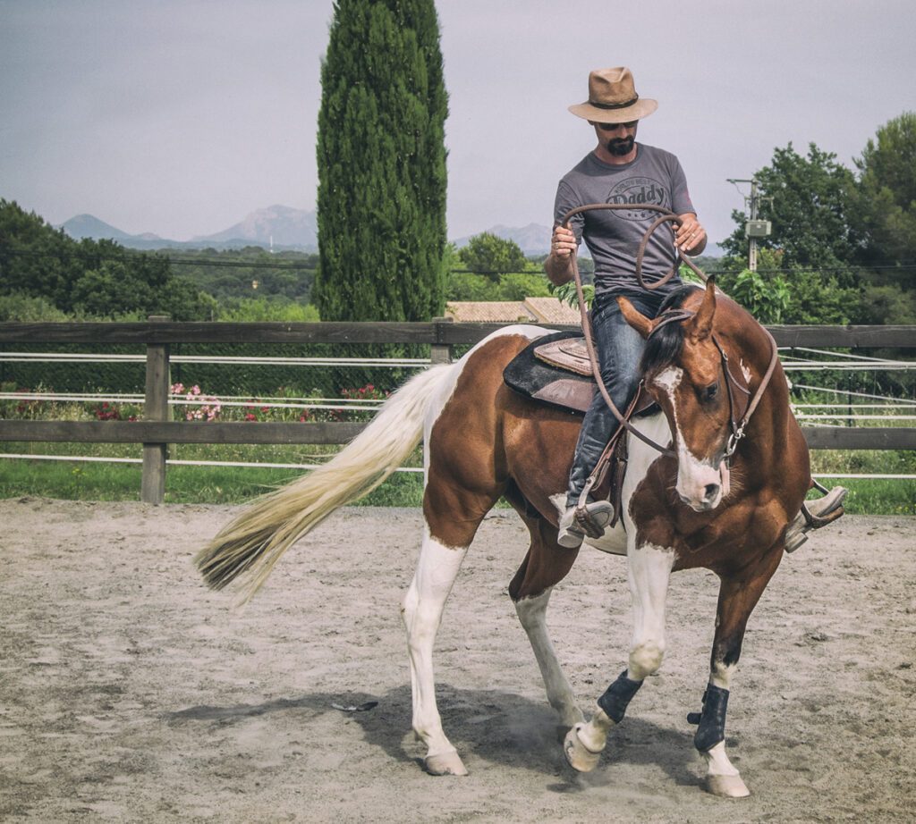 Equipment | Natural Horsemanship