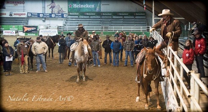 About me | Natural Horsemanship