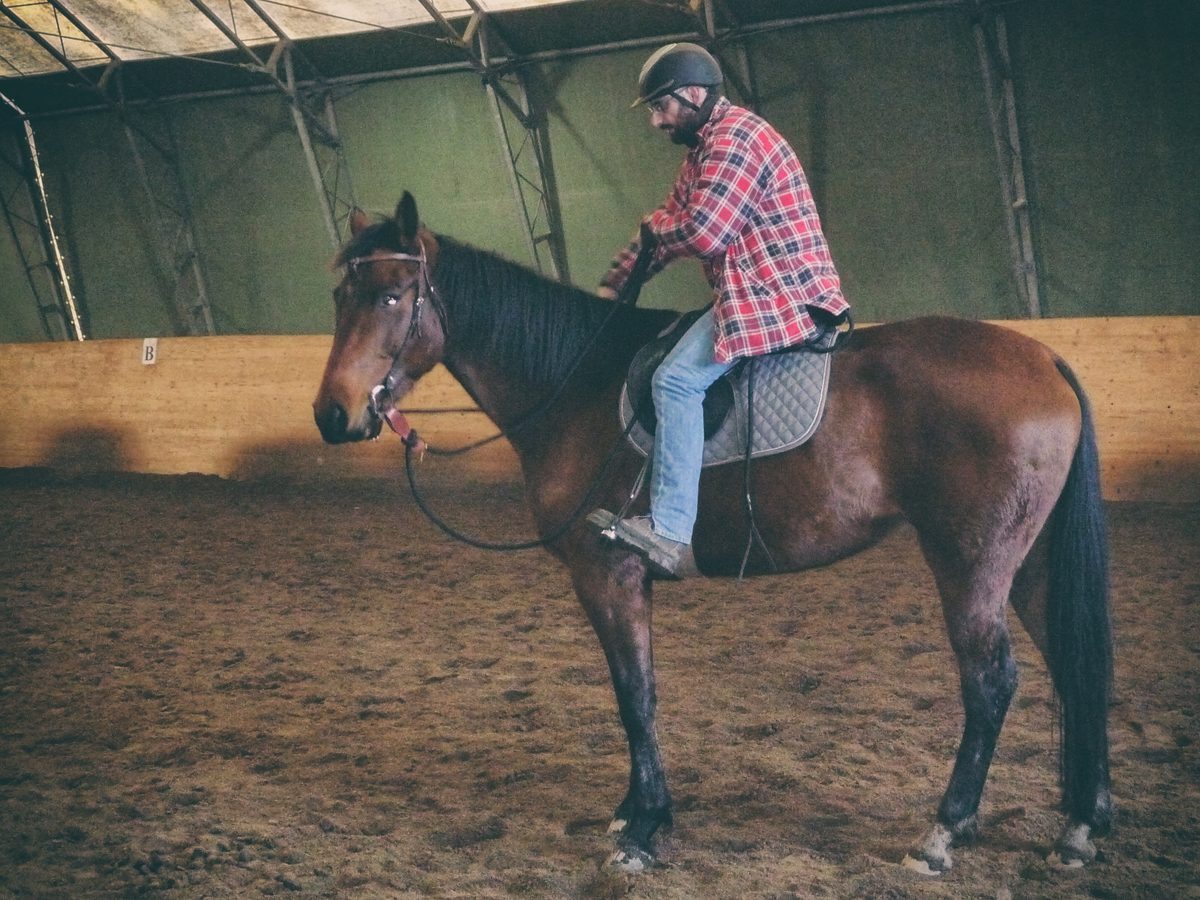 About me | Natural Horsemanship About me | Natural Horsemanship