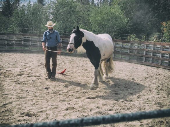Teaching safety rules and respect to horses