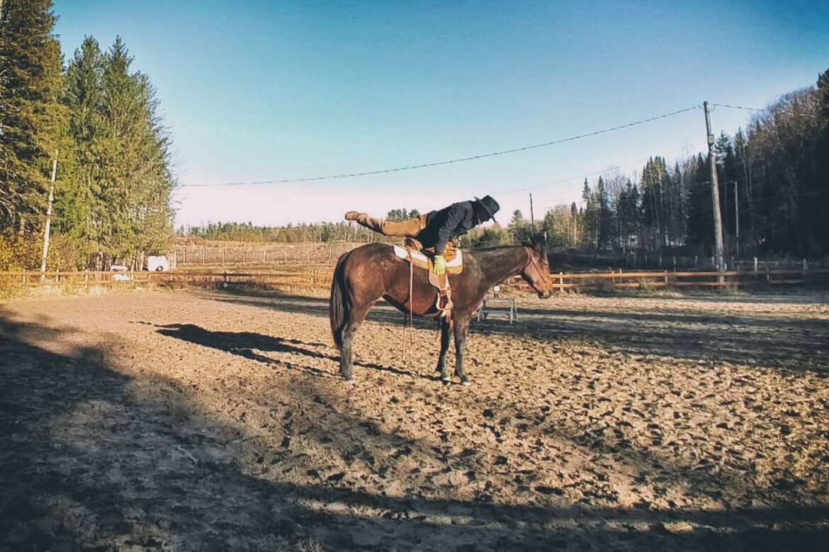 start_quarter_horse_filly