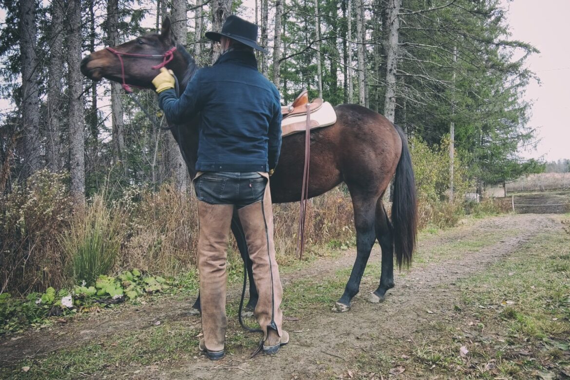 howto-fix_cinchy_horse