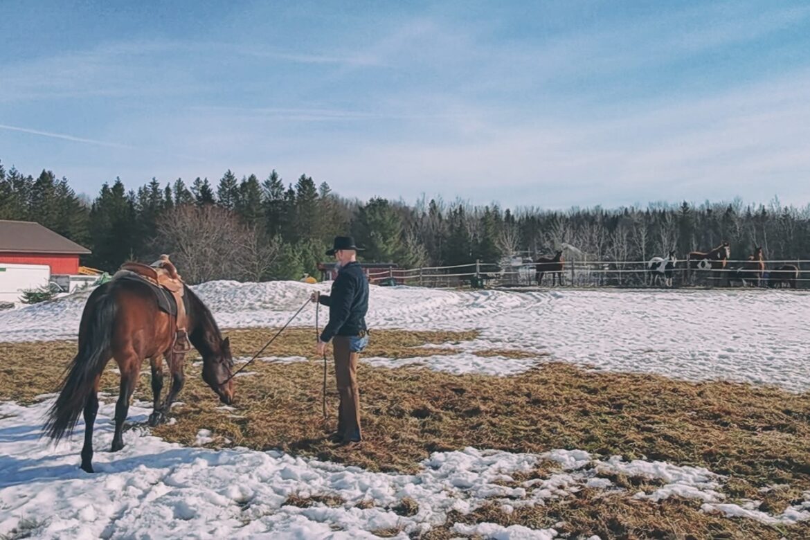 howto-stop-a-horse-from-eating-grass