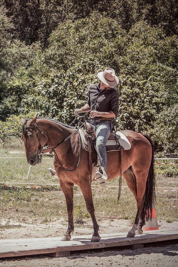 working-soft-feel-backing-up-trail-ride-bridge